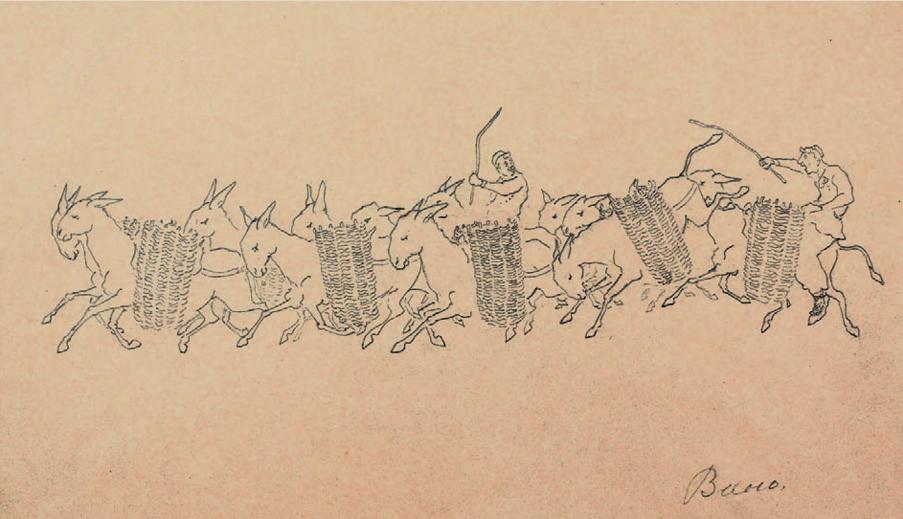 avanakneri veradarzy